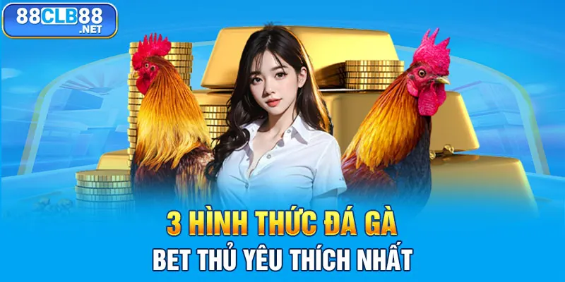 3 hình thức đá gà bet thủ yêu thích nhất 