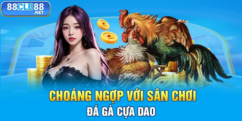 Choáng ngợp với sân chơi đá gà cựa dao