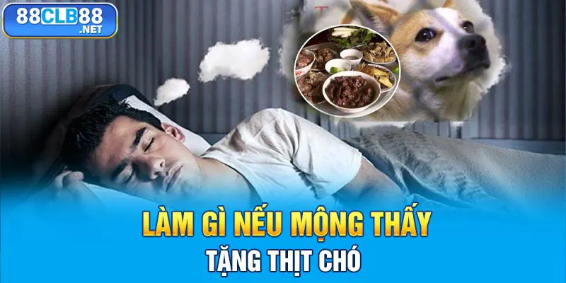 Làm gì nếu mộng thấy tặng thịt chó