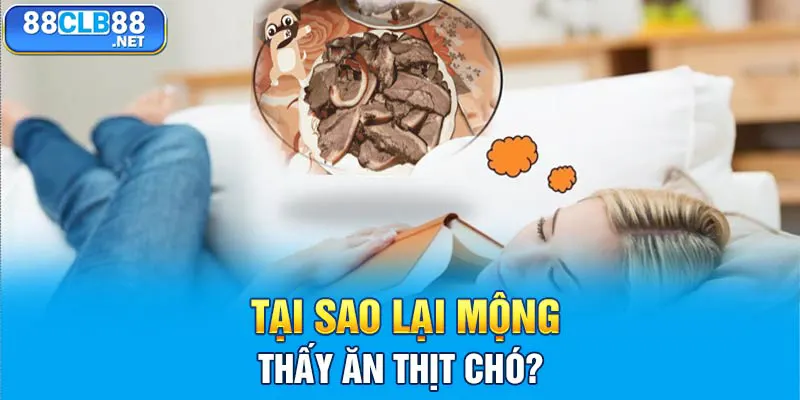 Tại sao lại mộng thấy ăn thịt chó?