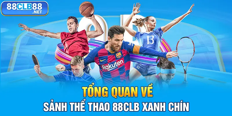 Tổng quan về sảnh thể thao 88CLB xanh chín