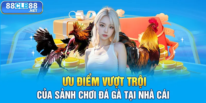 Ưu điểm vượt trội của sảnh chơi đá gà tại nhà cái